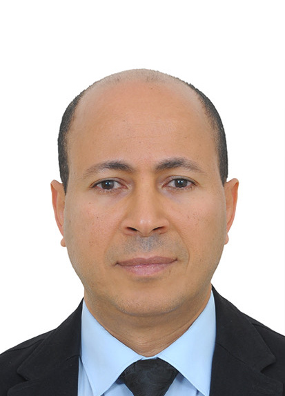 نائب الرئيس